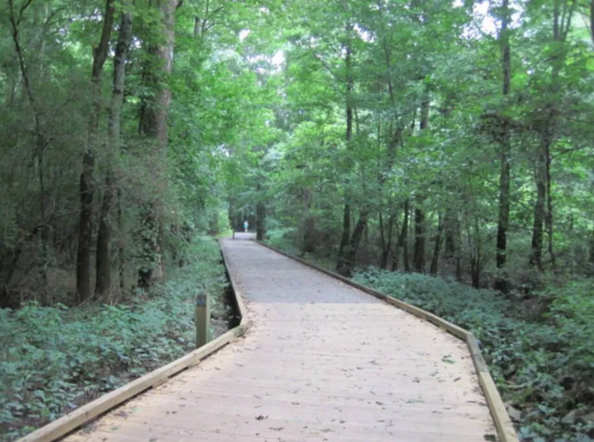 This exterior image features a wooden pathway surrounded by lush trees and dappled sunlight, evoking a sense of tranquility and seclusion. The natural landscape offers an inviting entrance into a peaceful, private setting, ideal for quiet walks or simply enjoying the serene neighborhood atmosphere highlighted in the section.